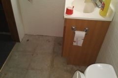Bathroom Floor Before