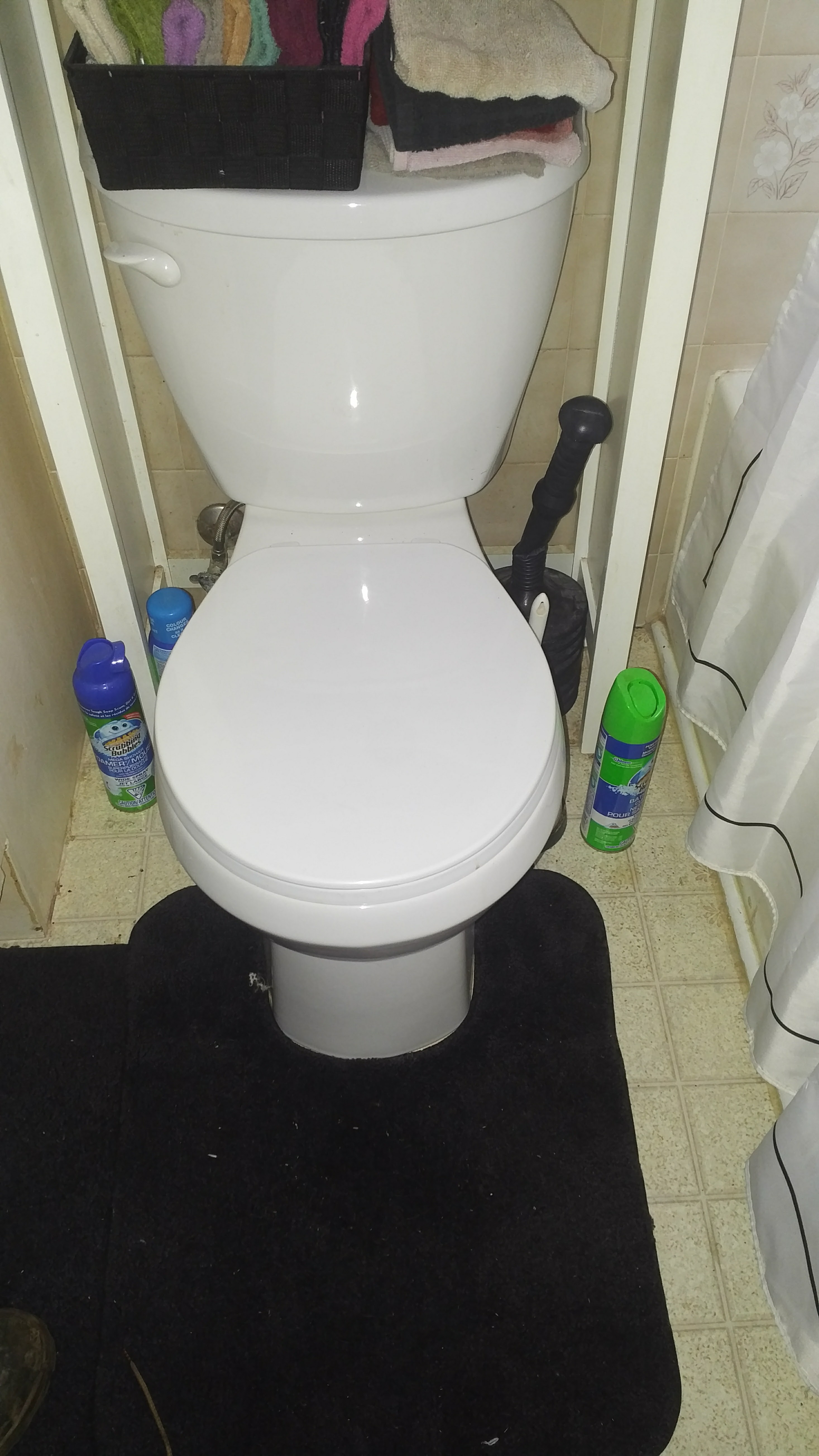 Handyman Rotted Floor Under Toilet After